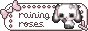 raining roses button